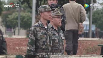 我的军旅梦 第二季,第二季热血征程再启航