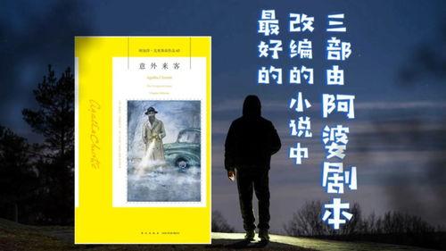 意外来客,一场意外的惊喜之旅