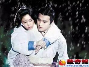 姐夫的独宠,姐夫的深情独宠之旅