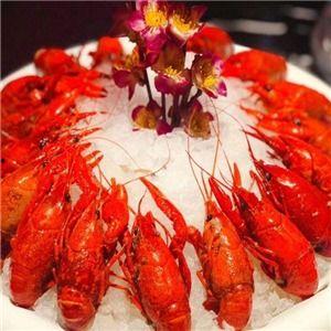 龙虾小孩,探寻神秘生物的奇幻之旅