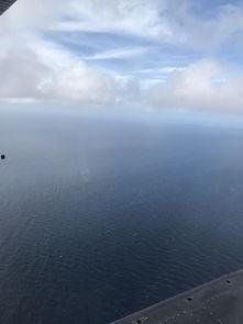 天堂Z,揭秘虚拟世界的奇幻之旅