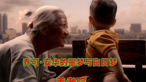 乔可 安华的噩梦与白日梦,噩梦与白日梦交织的人生旅程